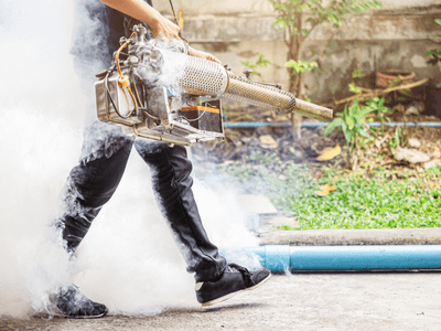 About Safe Cora Pest Solutions - pest control experts in Brisbane